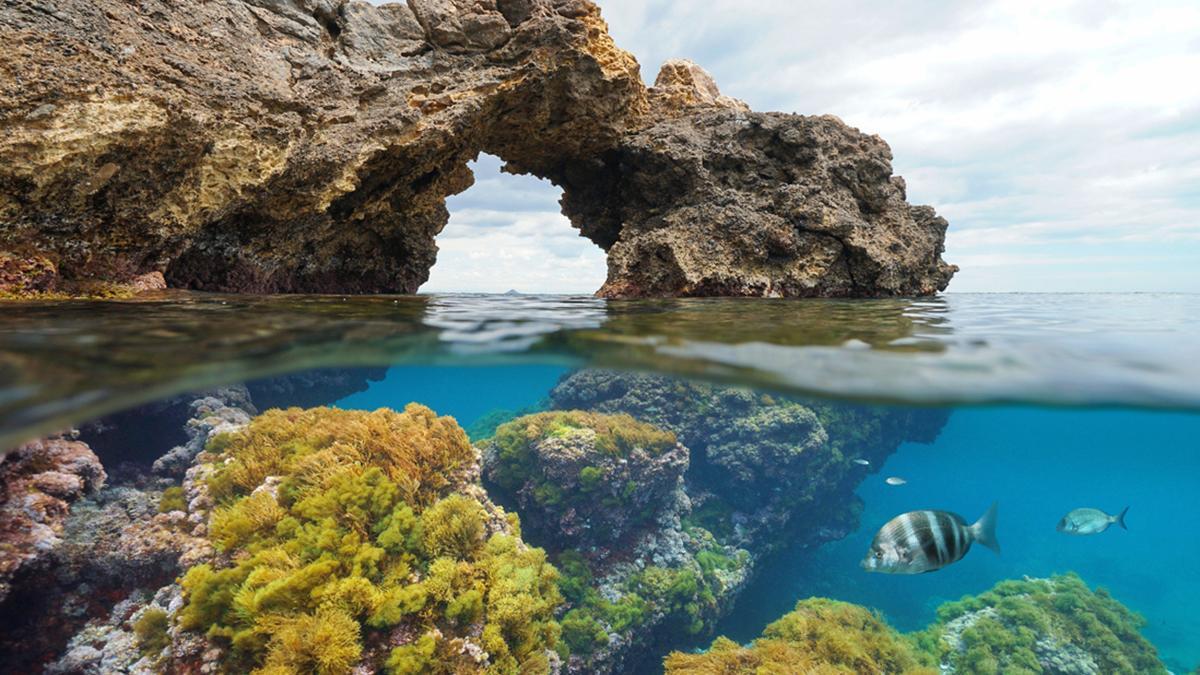 La visibilidad del litoral facilita observar relieves submarinos y fauna marina, lo que convierte esta experiencia en una de las más interesantes para descubrir el paisaje bajo el mar.