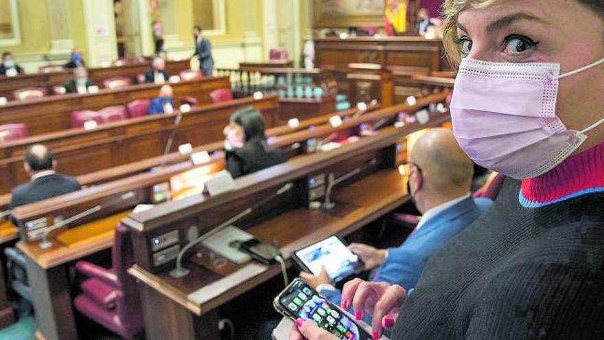 La diputada Naira Alemán en una imagen del último Pleno del Parlamento de Canarias.