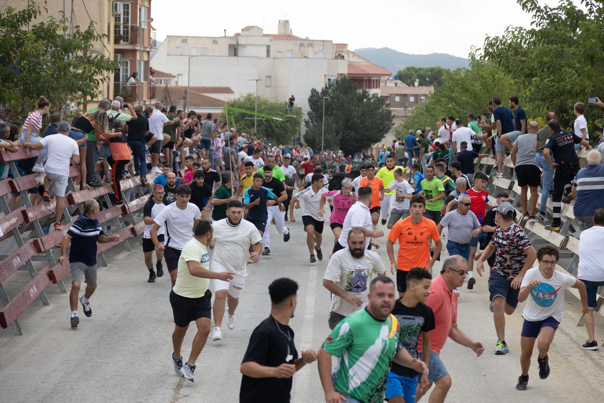 Tercer encierro de la Feria Taurina del Arroz en Calasparra