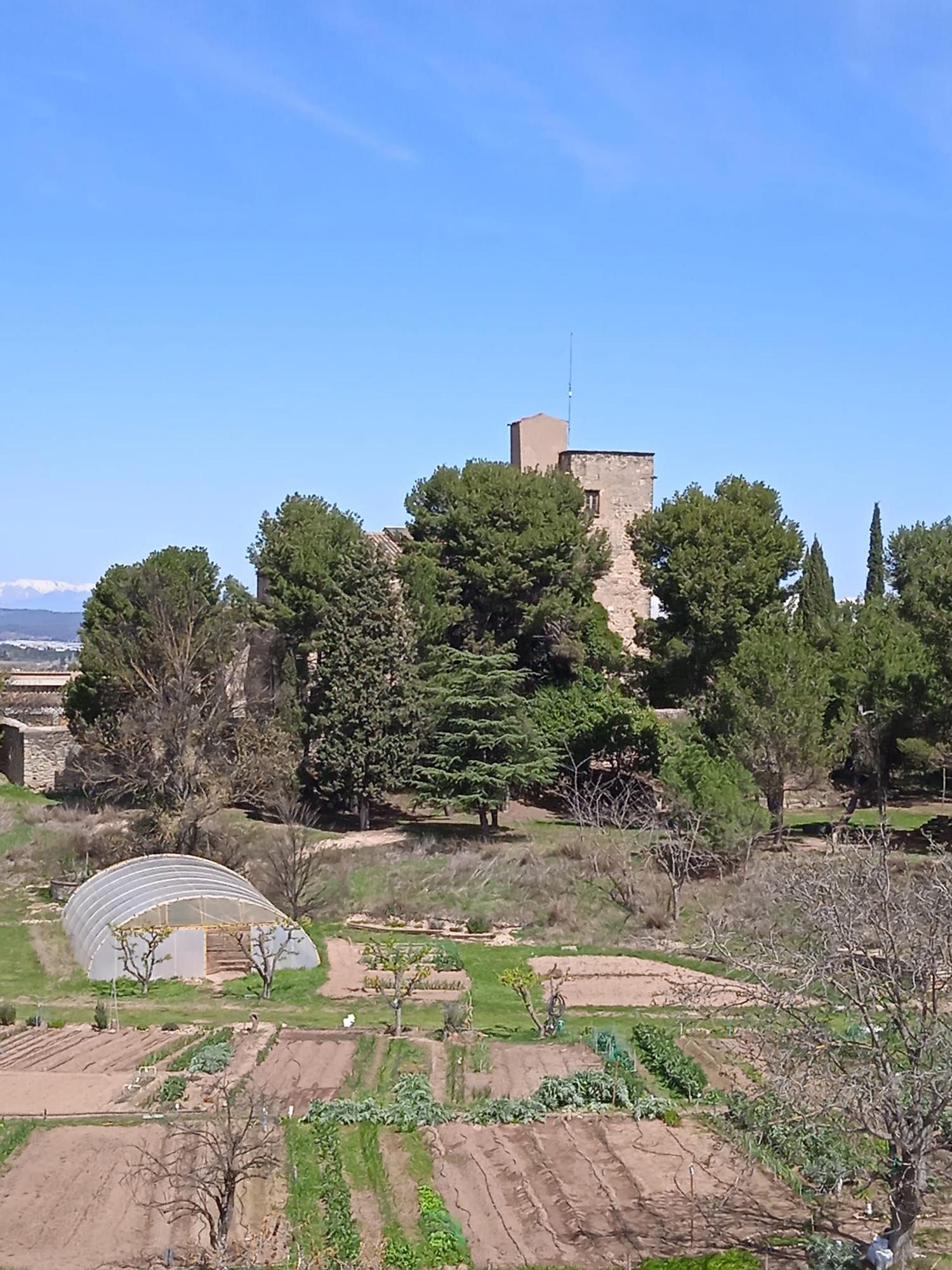 Com veuen els manresans la ciutat des de la finestra?