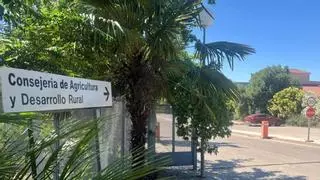 SOS por la cafetería de Agricultura en Cáceres: los funcionarios convocan un paro para que reabra al público