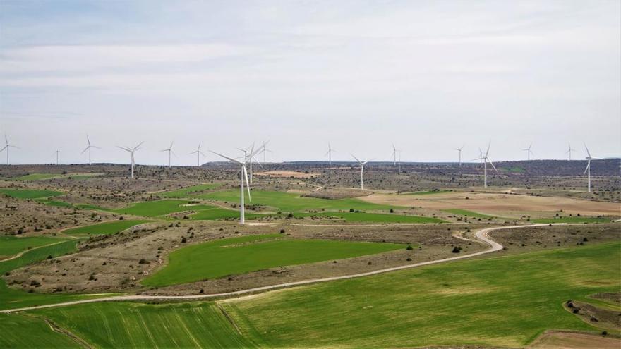 Iberdrola promueve acciones para conservar limpio nuestro aire