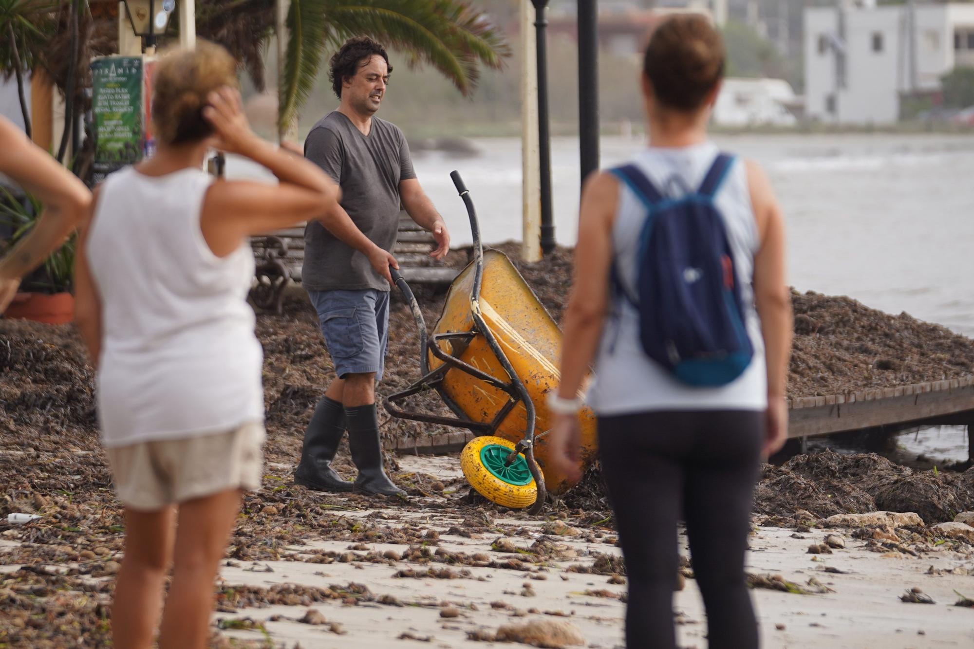 Así ha sido la jornada de limpieza de las playas de Ibiza después del temporal