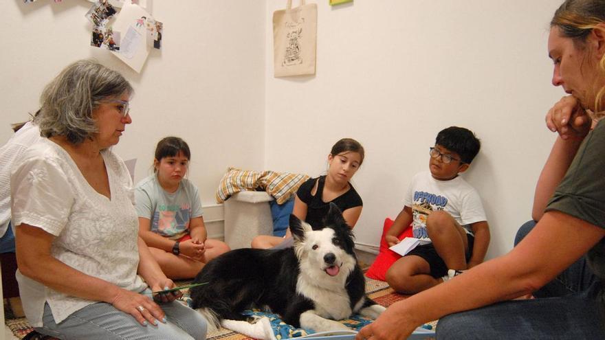 El border collie Nazan ayuda a mejorar la dicción y  la comprensión lectora
