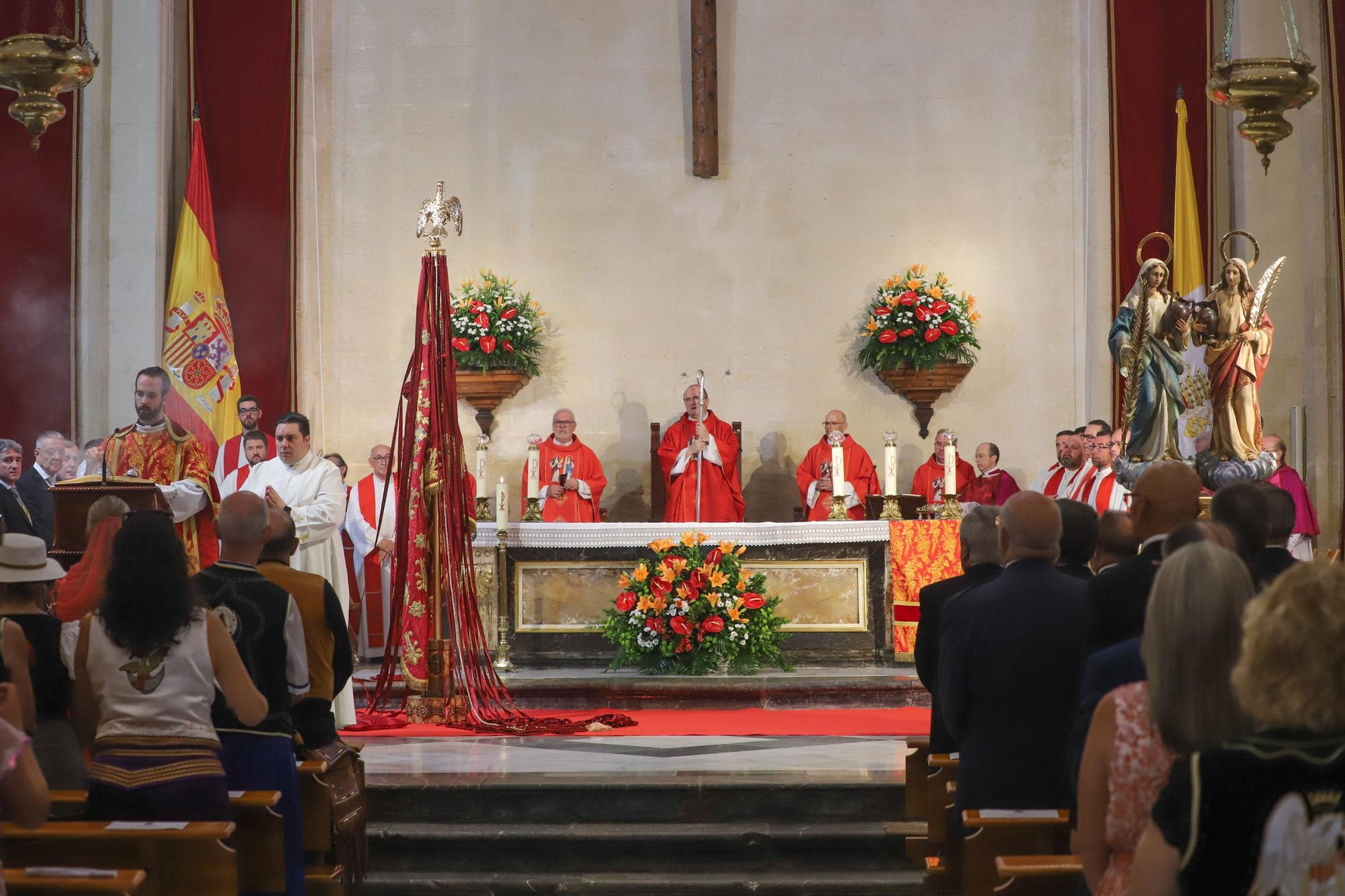 Día del Pájaro en Orihuela 2023