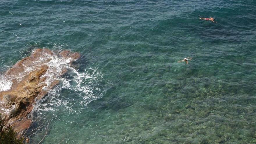 La Cala Punta Estrella tiene unas aguas cristalinas ideales para practicar snorkel