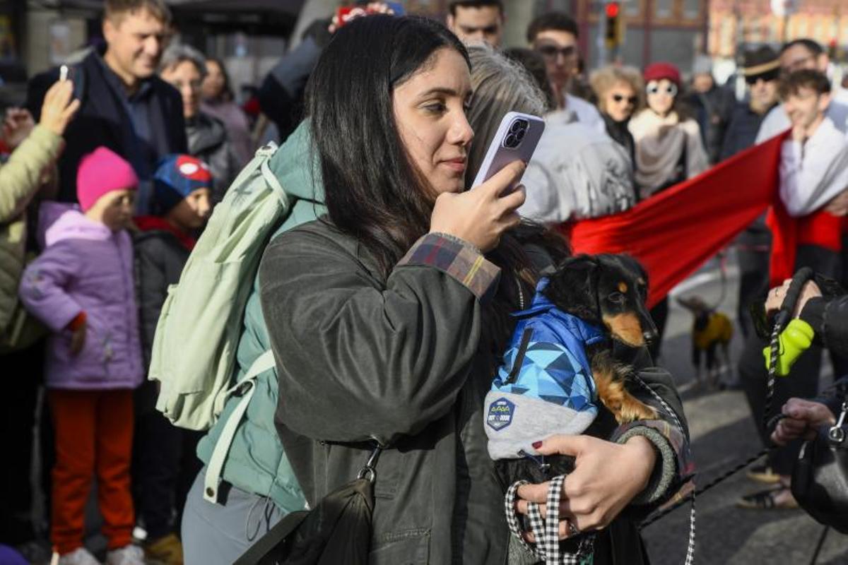 Bendición de animales en Els tres tombs