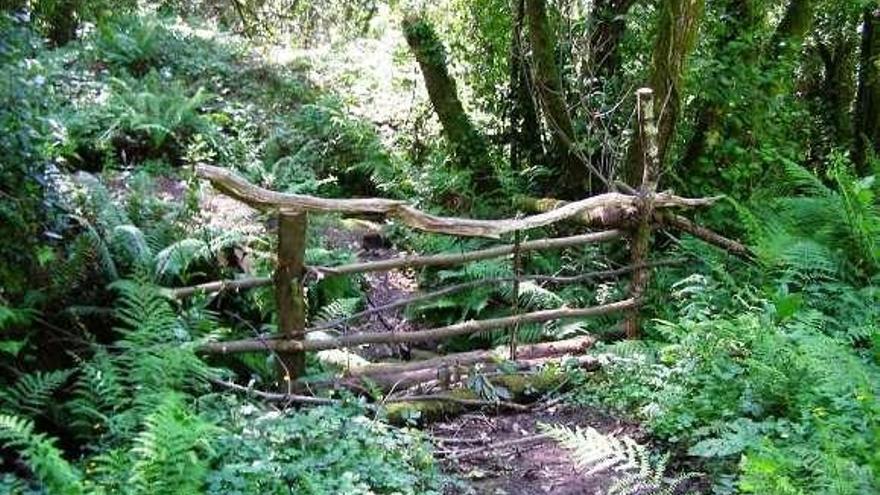 Un vallado en el sendero del río Frade hacia Ermelo.