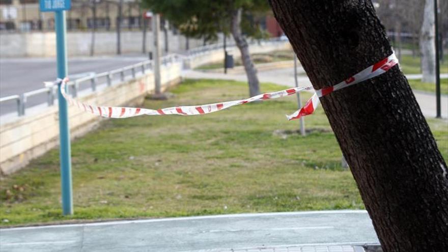 El cierzo golpea Zaragoza y deja 43 incidencias a lo largo del día