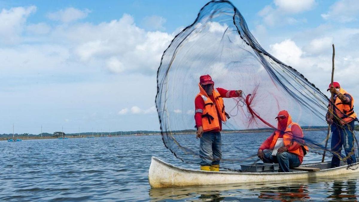 Empleados de Pescanova en la filial acuícola de Ecuador, Promarisco. / NPVA