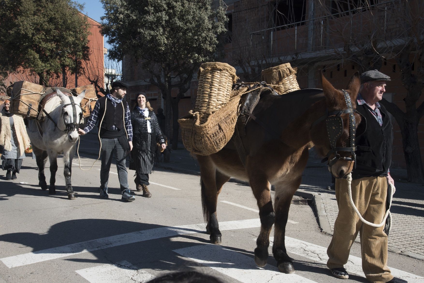 Les millors imatges dels Traginers de Balsareny