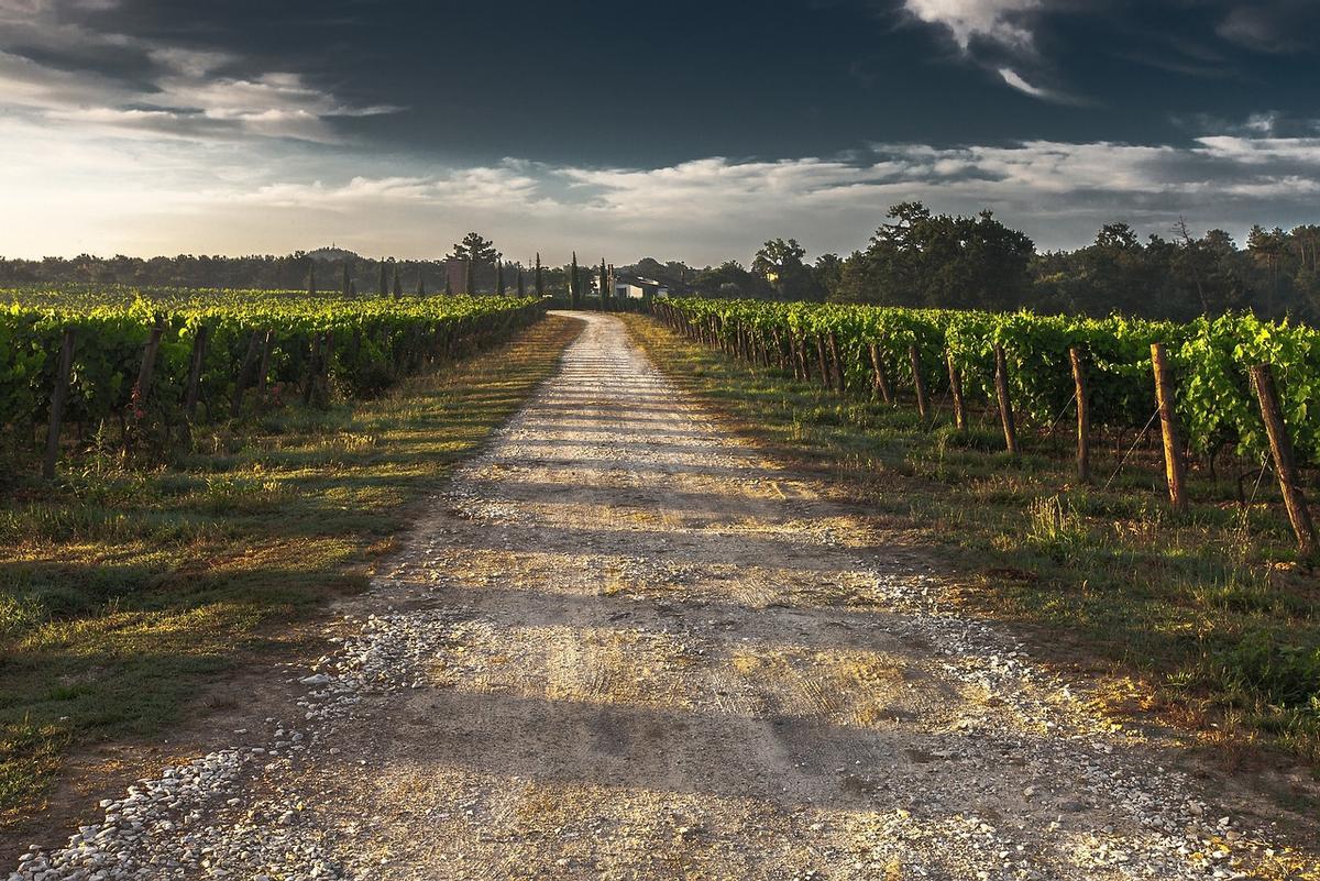 Visitar los viñedos de la zona de Burdeos es uno de los mejores planes para el puente de mayo.