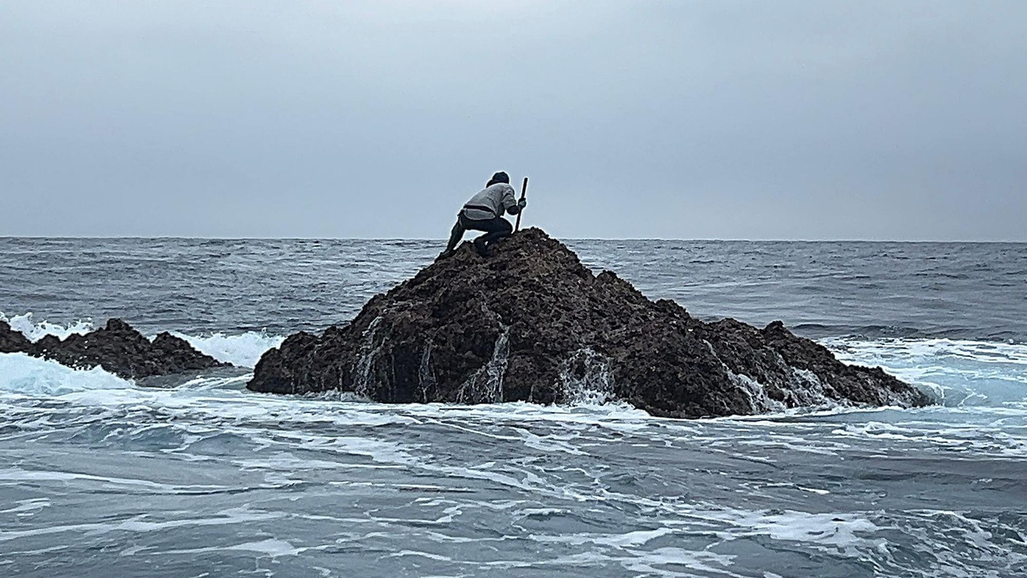 EN IMÁGENES: Así luchan los mariscadores de Luanco por cada kilo de percebe en el cabo Peñas