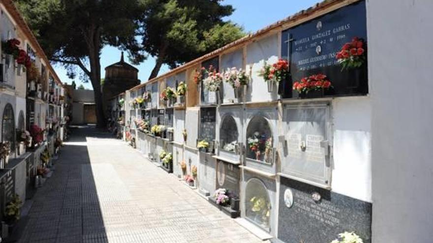 Anuncian el derribo de diez manzanas del cementerio de Torrevieja