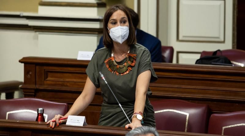 Pleno del Parlamento de Canarias.