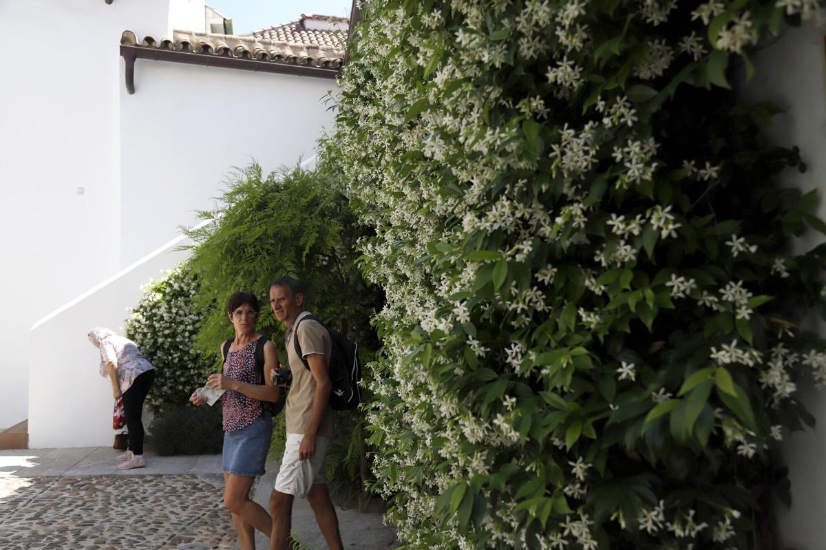 AJGonzález Córdoba Patios Ruta 5 Patio Samuel de los Santos Gener 9 Casa Árabe