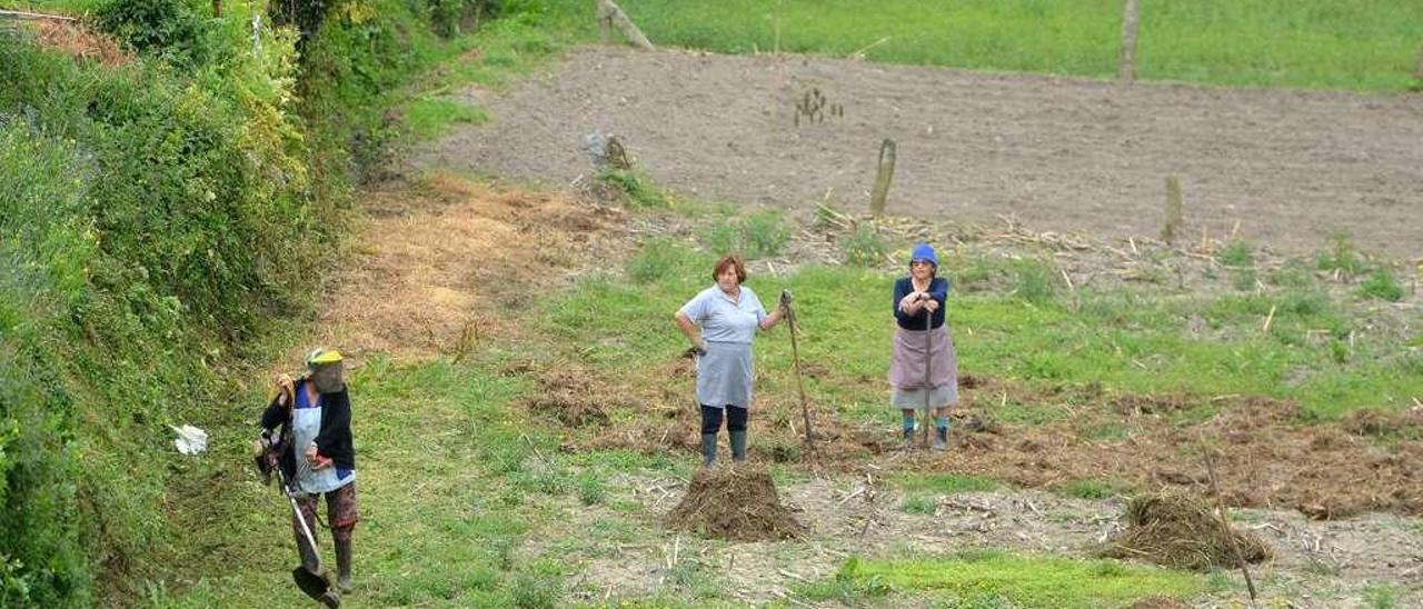 Mujeres trabajando en una finca en la comarca de Pontevedra. // Gustavo Santos