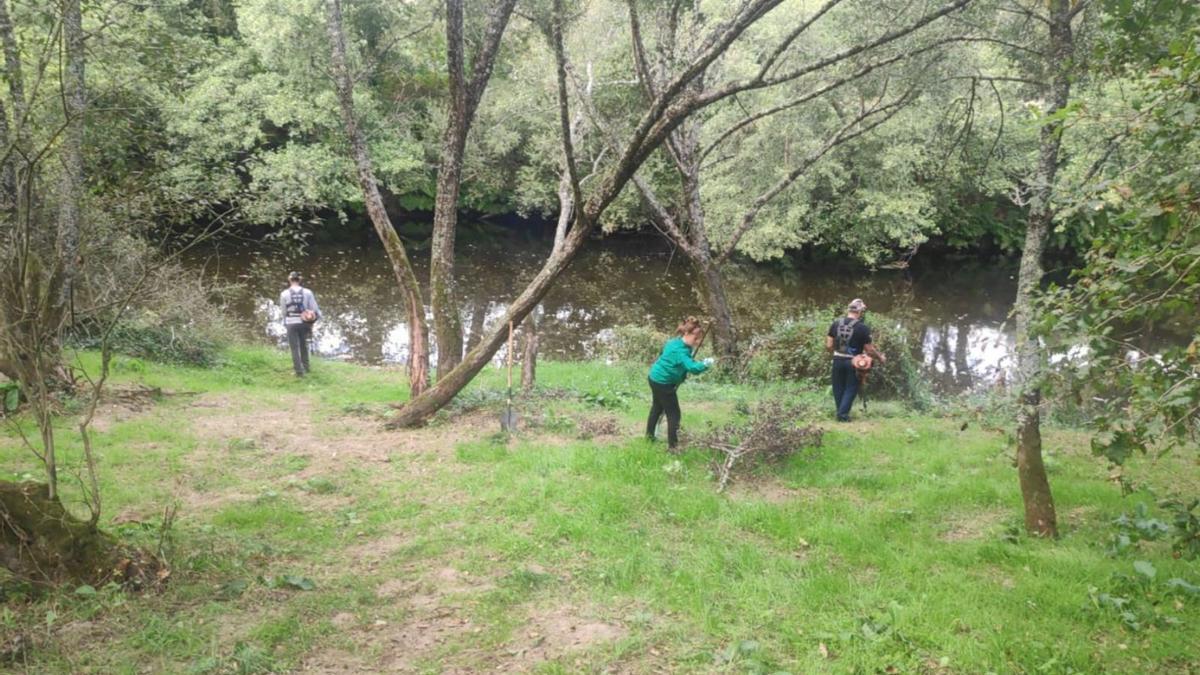 Alumnos del programa Deza Circular, durante las labores de desbroce y limpieza en Cira. |