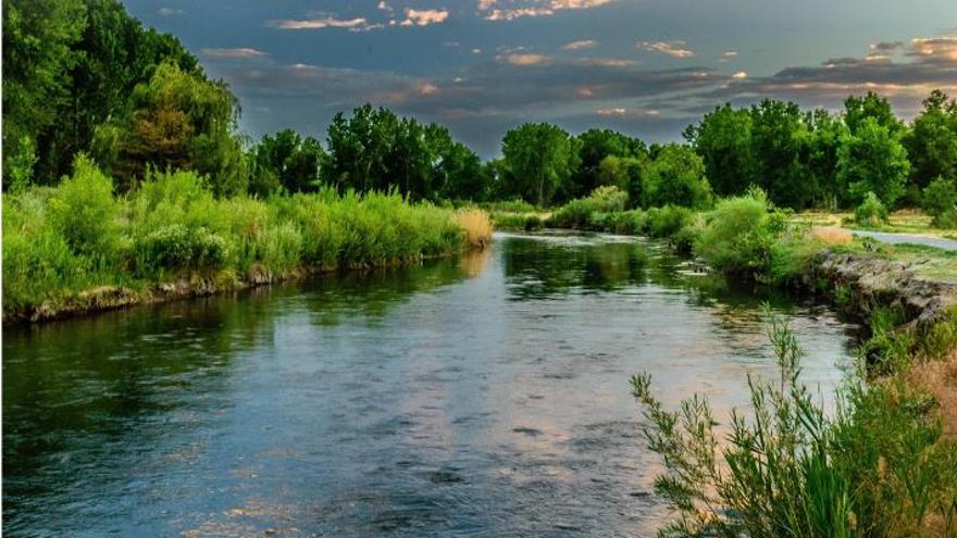 Un  millón y medio para un observatorio ecológico del Duero y &quot;renaturalizar&quot; el río en Zamora