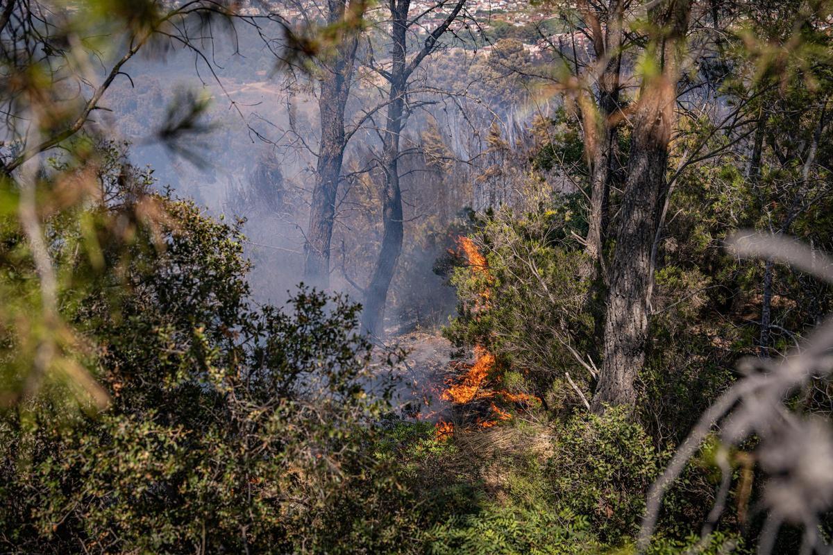 Los Bombers confían en perimetrar pronto el incendio forestal en Gavà que ha obligado a confinar a 6.000 personas