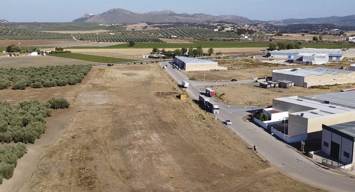 Vista de la parcela en El Polear