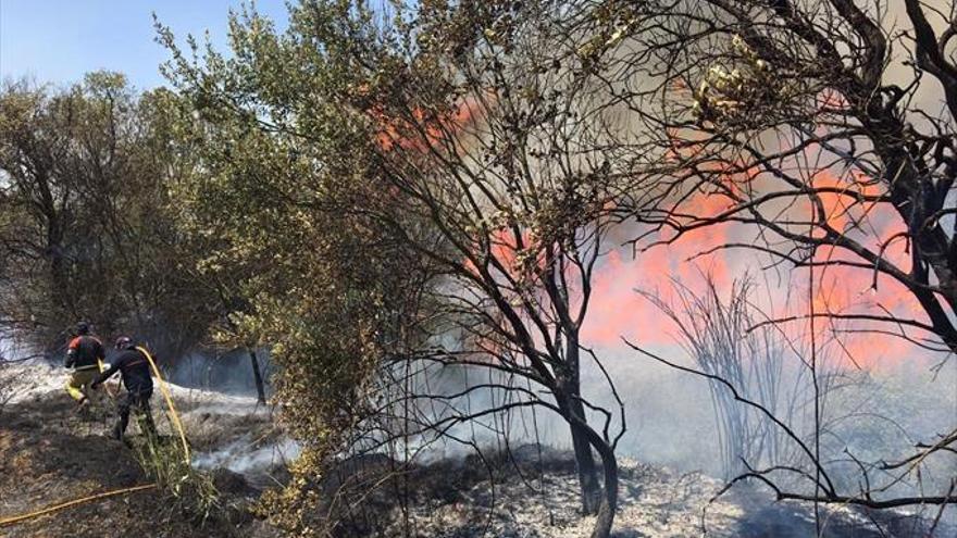 El fuego junto a Campofrío en Badajoz arrasa 40 hectáreas de pastos y arboleda