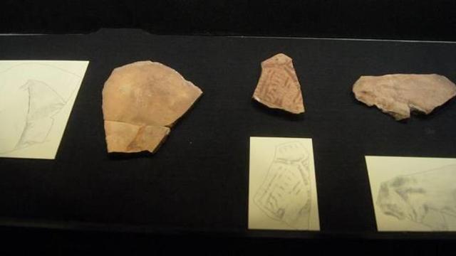 Plaquetas de la Cova del Parpalló en el Museu de Prehistòria.