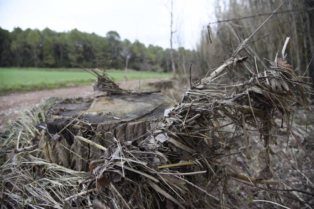 El principal camí del Suanya de Manresa, malmès pel temporal