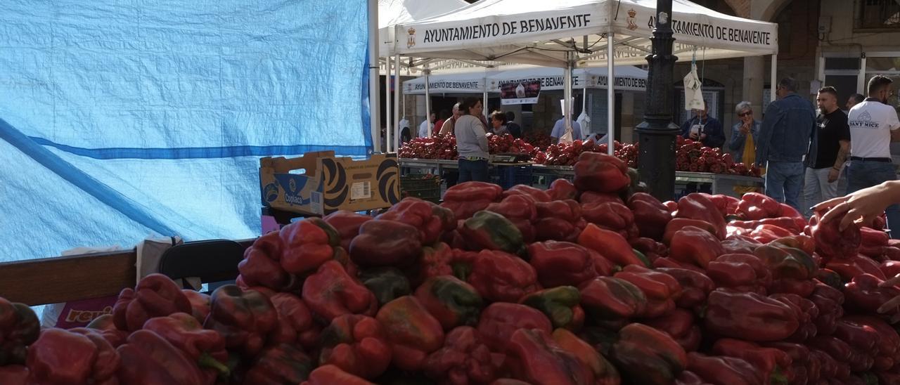 La Feria del Pimiento ha tenido una incesante afluencia de público desde primera hora de la mañana.