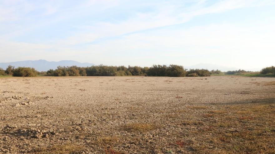 VÍDEO | L&#039;estat de sequera als Aiguamolls de l&#039;Empordà és «greu»