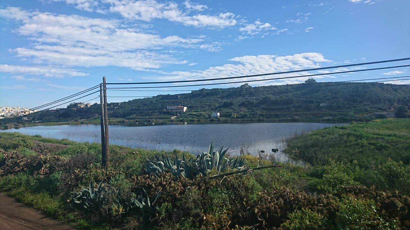 ¡Qué verde era mi barrio!