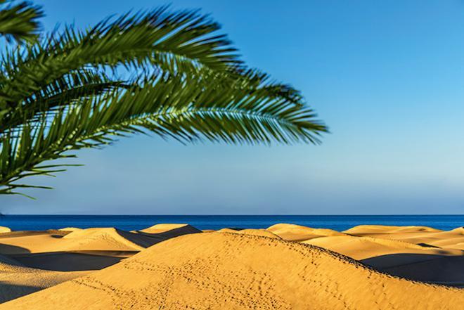 Dunas de arena dorada y palmeras en la Playa del Inglés