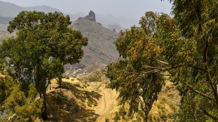 Estos son los lugares de Canarias donde más calor hará este fin de semana