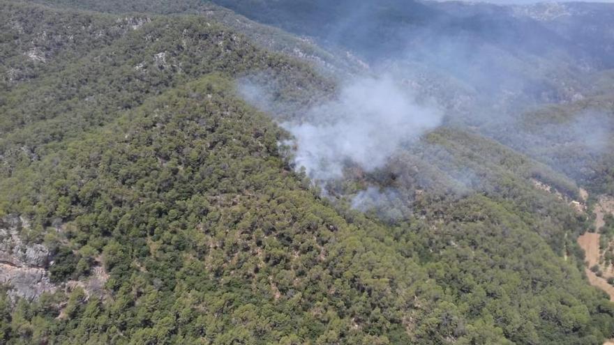 Controlan el incendio forestal de Coanegra