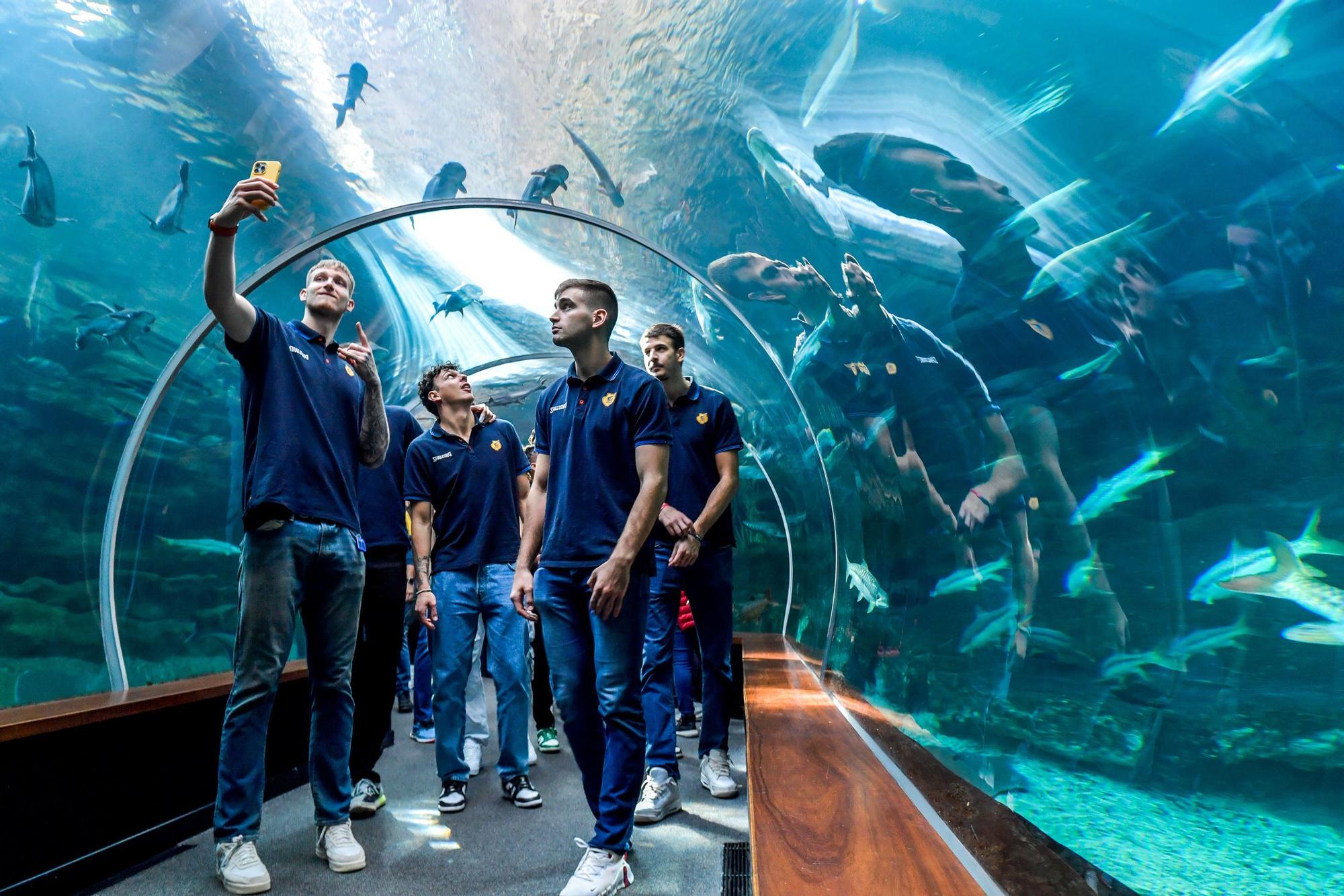 Los jugadores del CB Gran Canaria visitan el acuario Poema del Mar