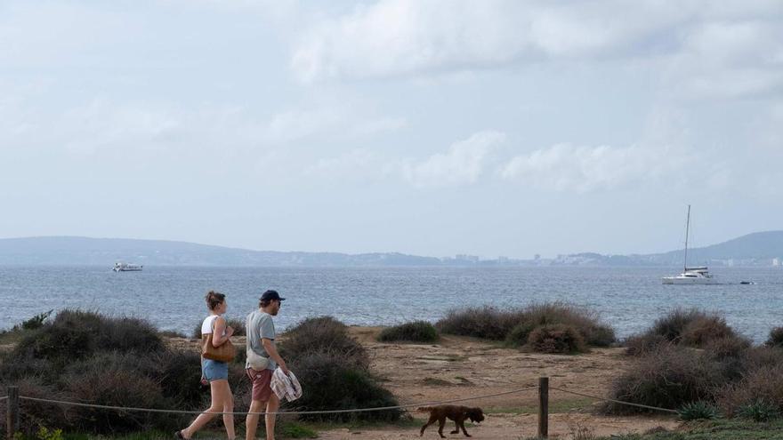 Un paseo por es Carnatge
