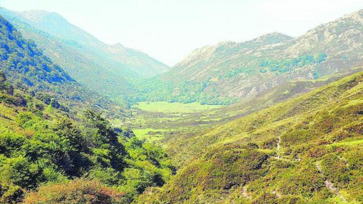 El valle de Viango, con la Llosa al fondo.
