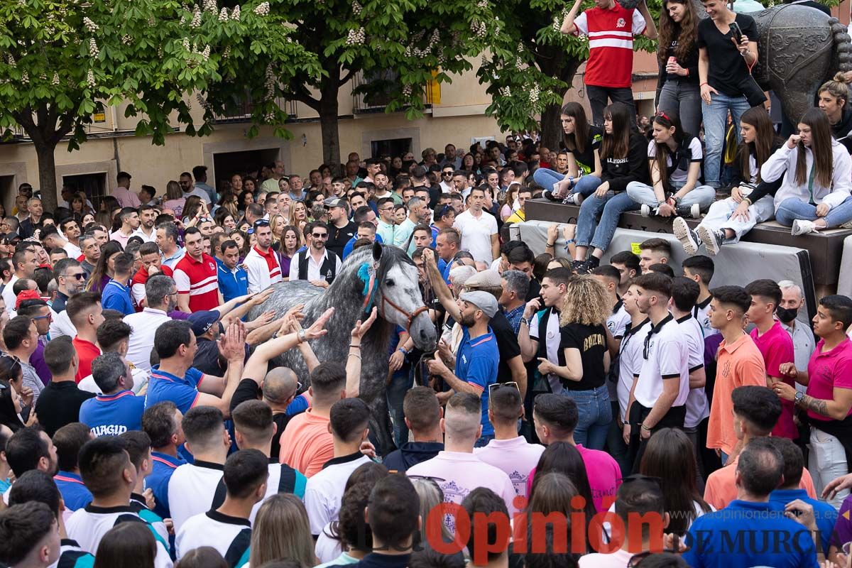 Así ha sido la entrega de premios del concurso morfológico de los Caballos del Vino de Caravaca