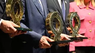 Fustecma, Realonda e Ingeneo se llevan los premios Alfa de Oro 2024