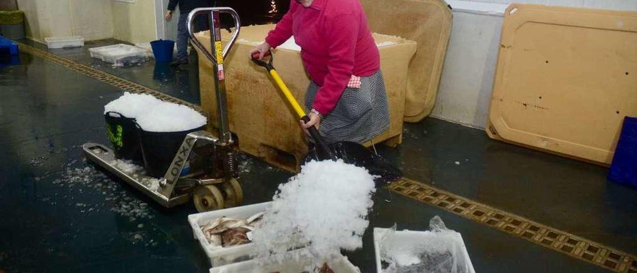 Una mujer poniendo hielo ayer encima de varias bandejas de pescado en la lonja de Portonovo. // Rafa Vázquez