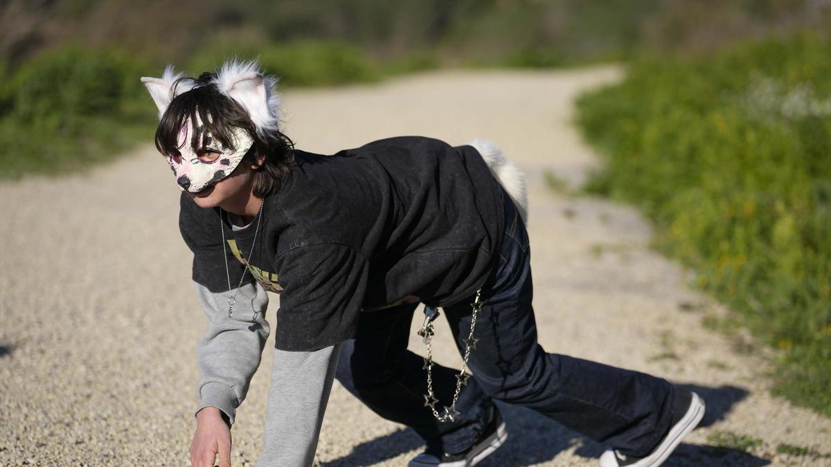 POLÉMICA TELEVISIÓN VIRAL | Incidente en directo en IB3: un supuesto ‘therian’ irrumpe con insultos y gestos obscenos antes de ser cortado POLÉMICA TELEVISIÓN VIRAL | Incidente en directo en IB3: un supuesto ‘therian’ irrumpe con insultos y gestos obscenos antes de ser cortado