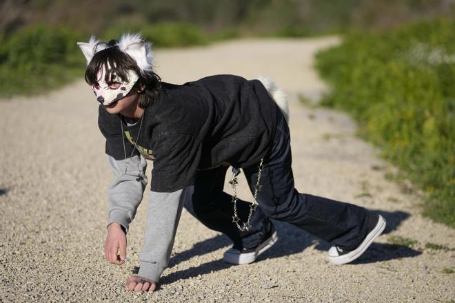 ¿Per què algunes persones decideixen actuar com animals? Dues psicòlogues ens ajuden a entendre el fenomen dels ‘therians’