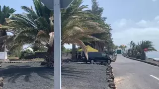 Pedro Sánchez inicia las vacaciones en Lanzarote con familia y mascotas