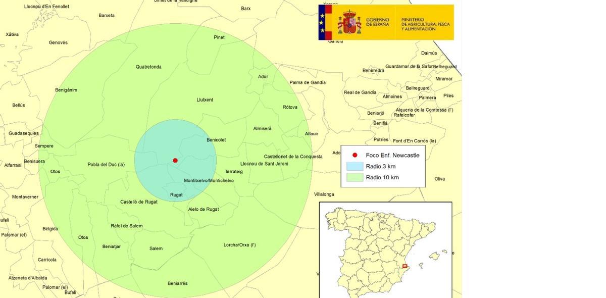 El foco de la enfermedad detectado.