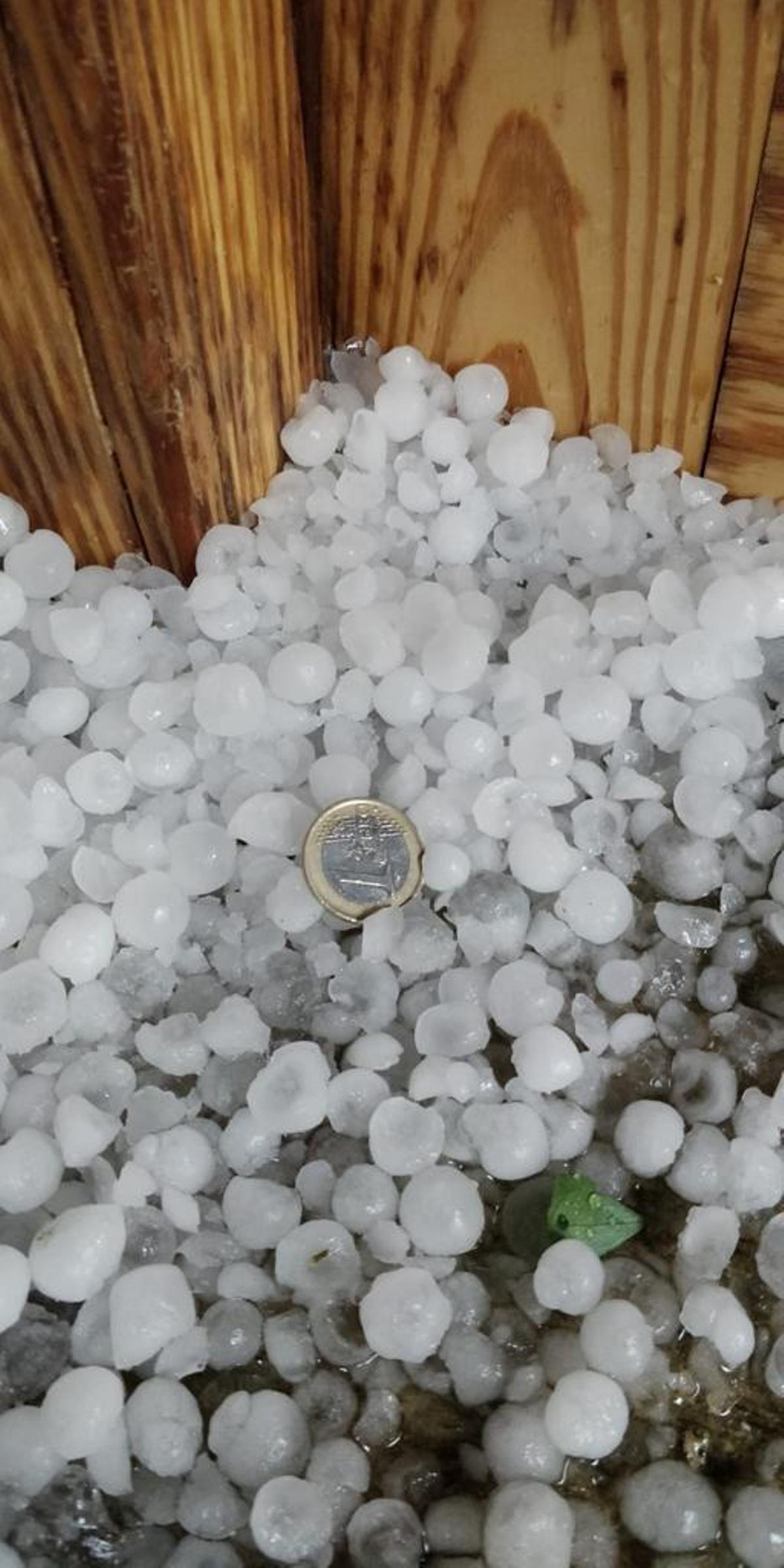 Tamaño del granizo caído en Almaraz