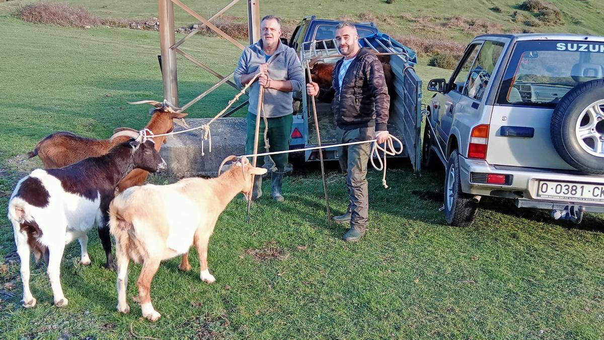 Juan José Cajete y Alejandro Viejo con tres de las cabras que les quedan.