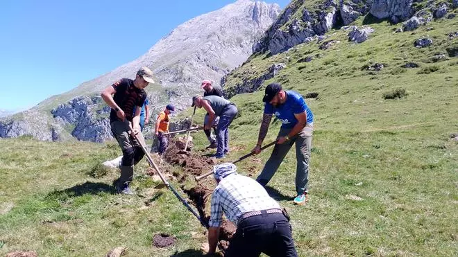 Los ganaderos protegen el tramo más expuesto de la conducción que lleva agua a la majada de Amuesa, en el corazón de los Picos de Europa