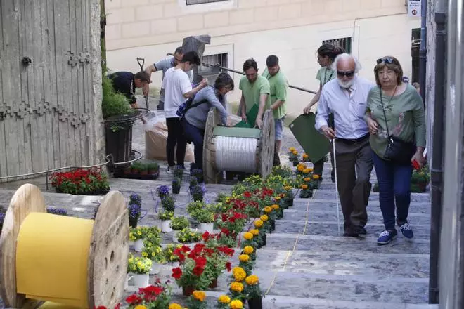 Últims preparatius pel Temps de Flors