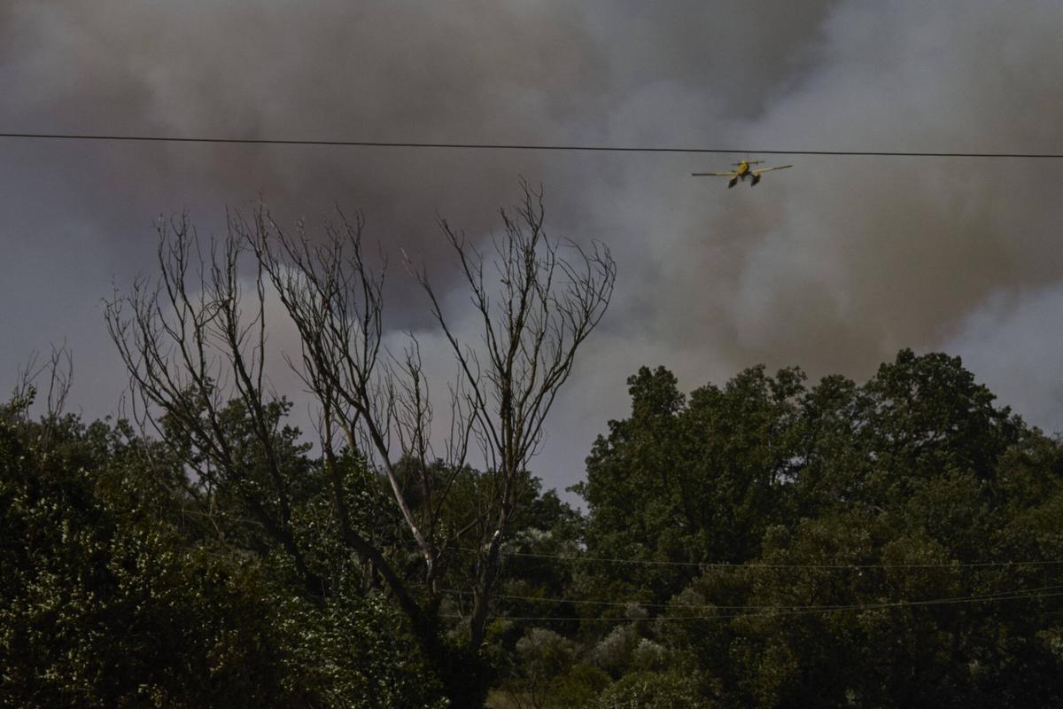 Les imatges de l'incendi forestal de les Gavarres Les imatges de l'incendi forestal de les Gavarres