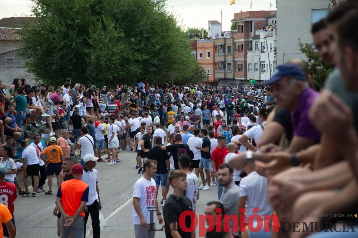 Primer encierro de la Feria del Arroz de Calasparra